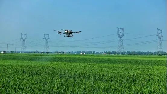 宛城区：打好病虫草害防控“歼灭战” 护航夏粮丰产增收