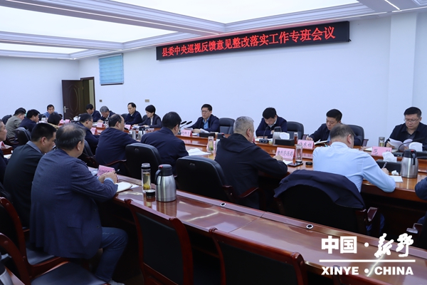 新野县委落实中央巡视反馈意见整改工作专班会议召开