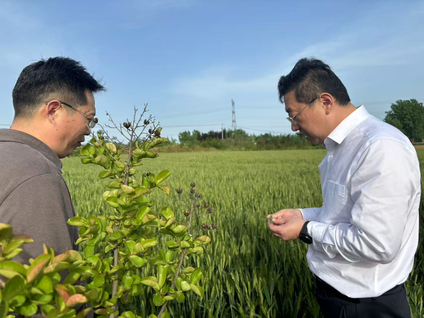 顾理到黄水河（内乡段）巡河    