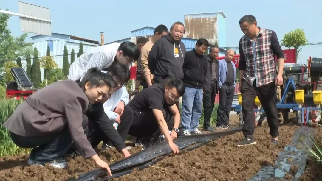 淅川：田间观摩学技术&nbsp;农机赋能种椒忙
