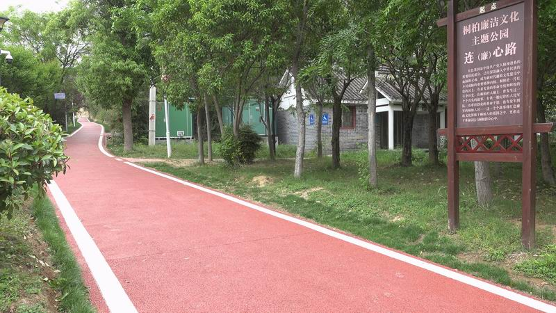 央视网发布：河南省桐柏县红色场馆无障碍建设经验获全国推广