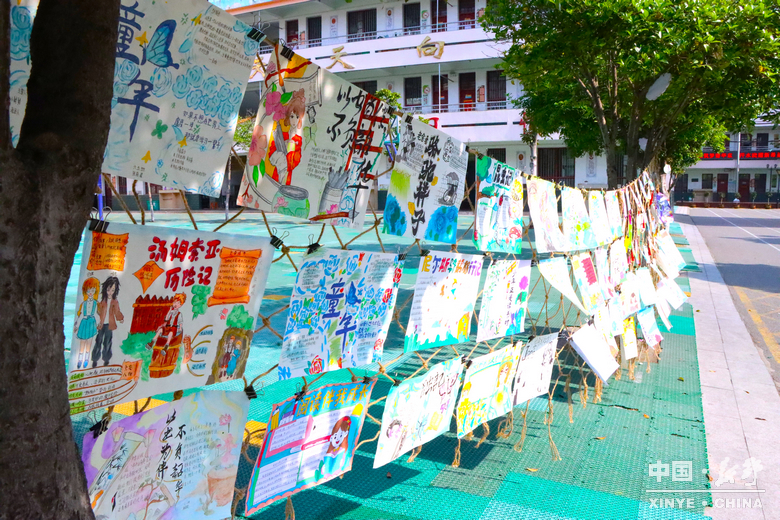 四月，在新野读一本书