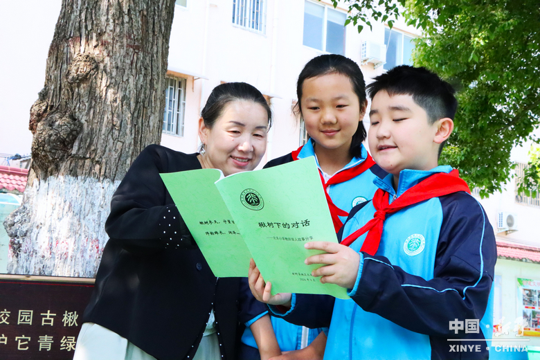 四月，在新野读一本书