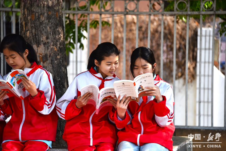 四月，在新野读一本书