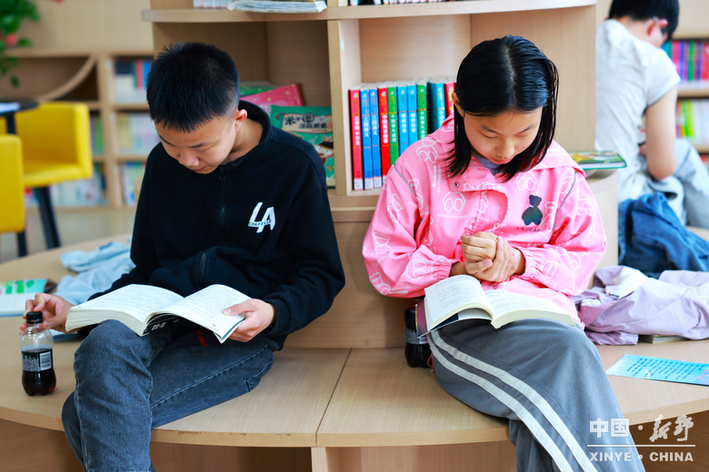 四月，在新野读一本书