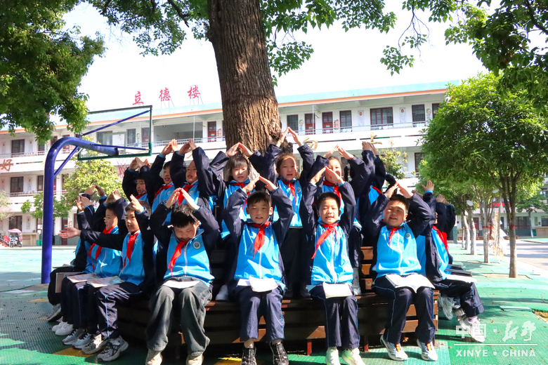 四月，在新野读一本书