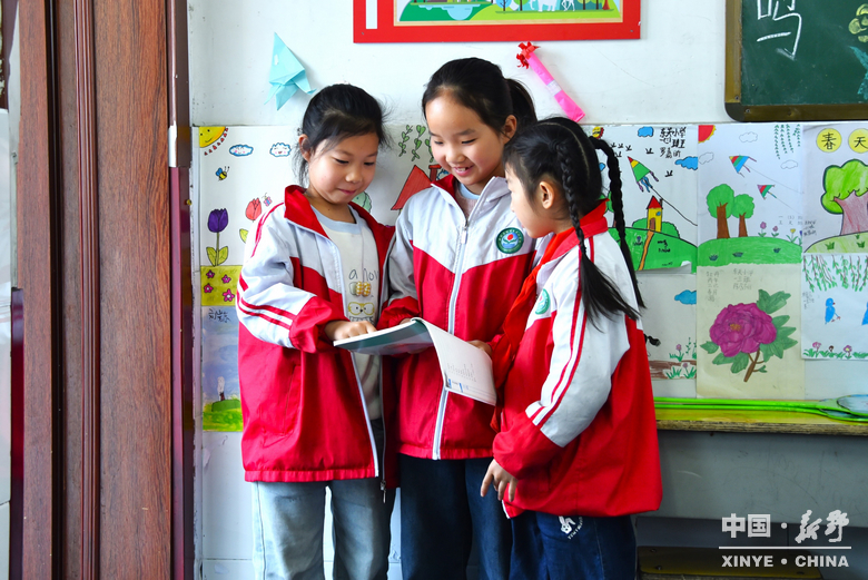 四月，在新野读一本书