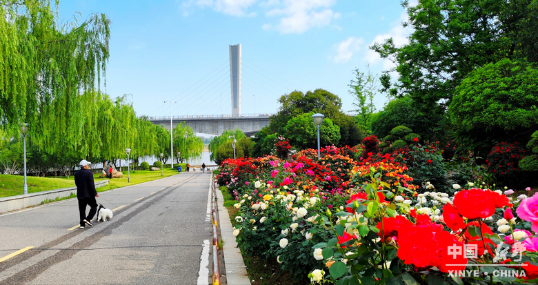 五月，在新野度慢时光