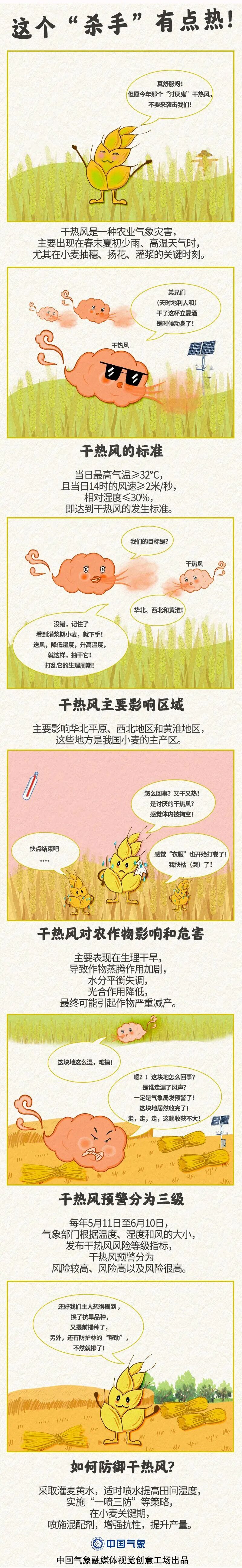 小麦为啥怕干热风？干热风的标准是什么？一图带你了解