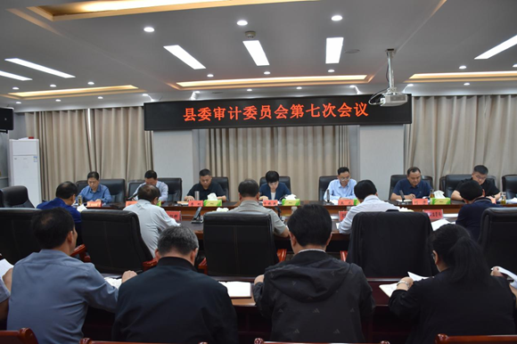 桐柏县召开县委审计委员会第七次会议 桐柏县召开县委审计委员会第七次会议