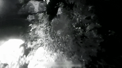 3人深夜被困山顶！民警与时间展开赛跑······