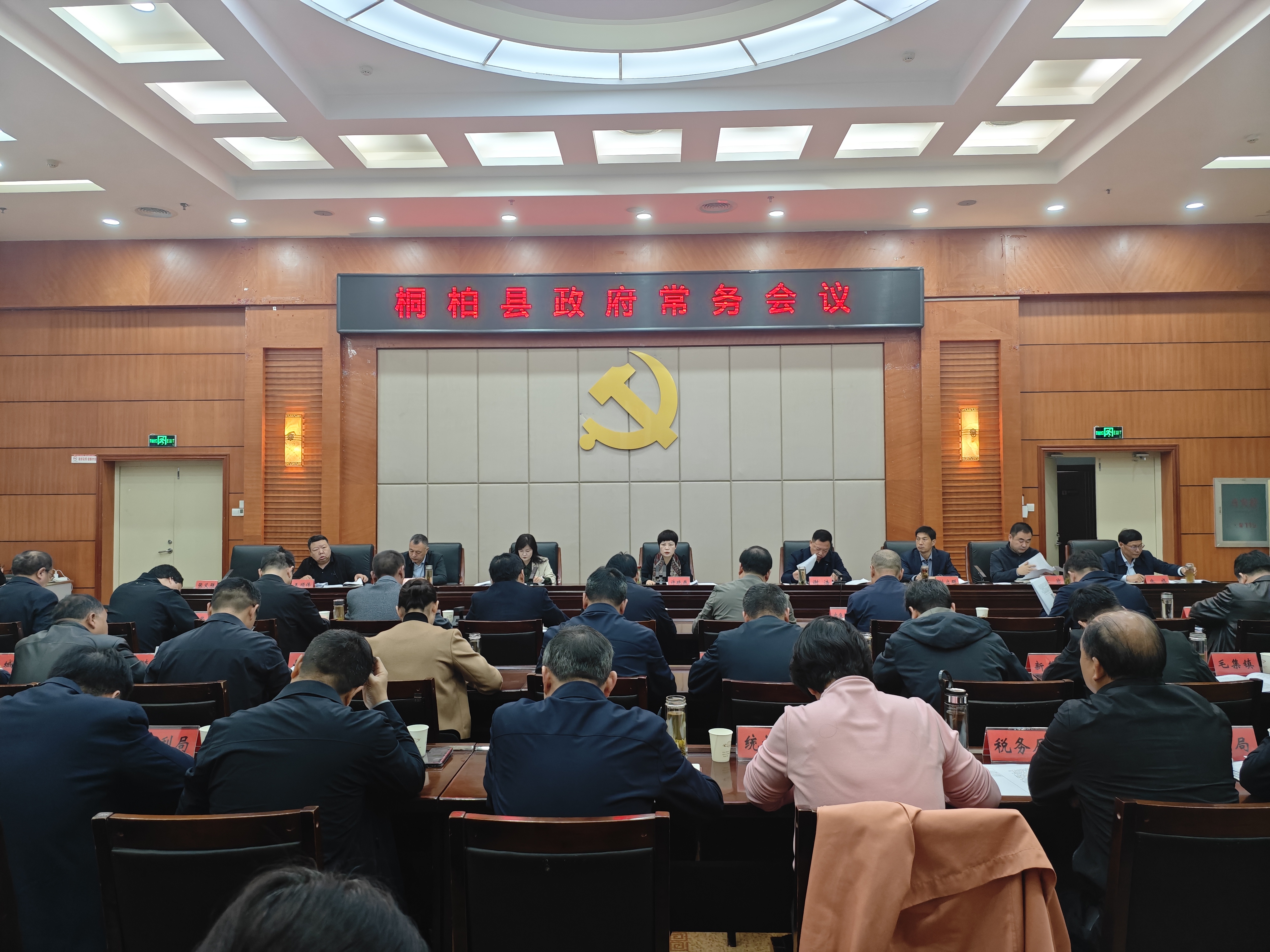 桐柏县人民政府第二次常务会议（2026年4月3日）