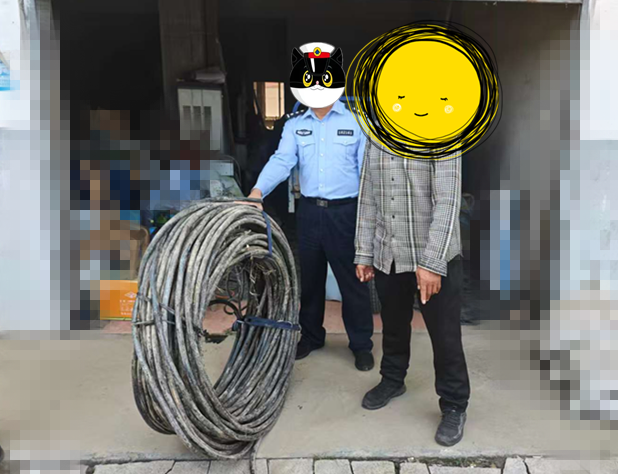 镇平公安：4小时快侦快破盗窃案