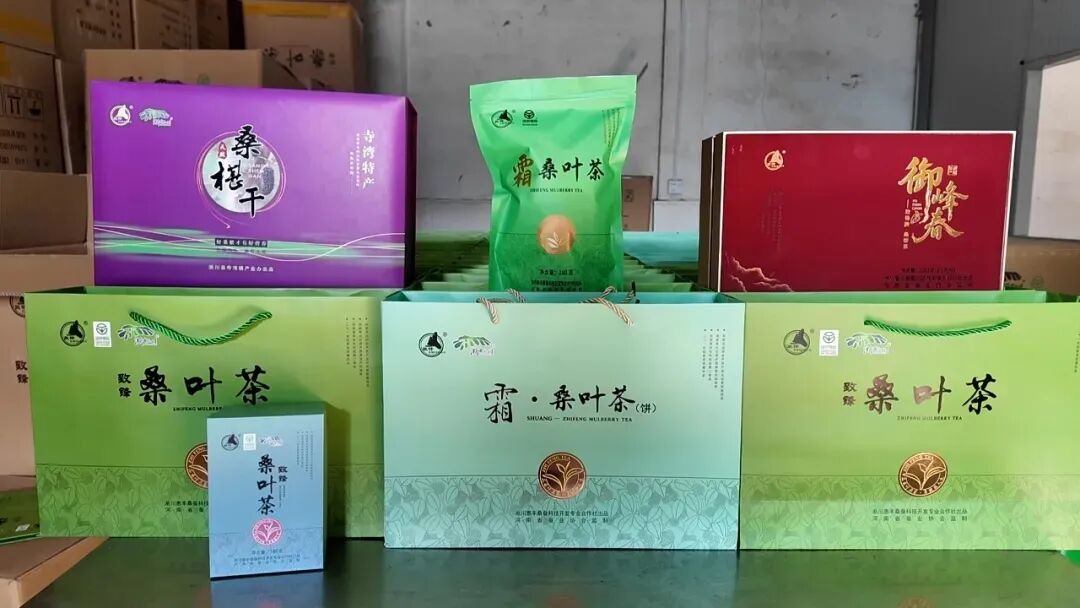 河南淅川一片桑叶富万家