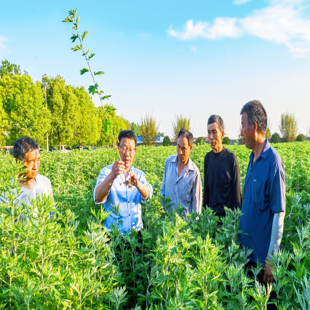 立足本土亮名片 聚焦产业促振兴 ——河南卫视聚焦我市农民田间学校 记录特色产业振兴生动实践