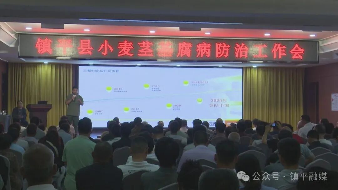 镇平县举办小麦茎基腐病科学防控现场培训会