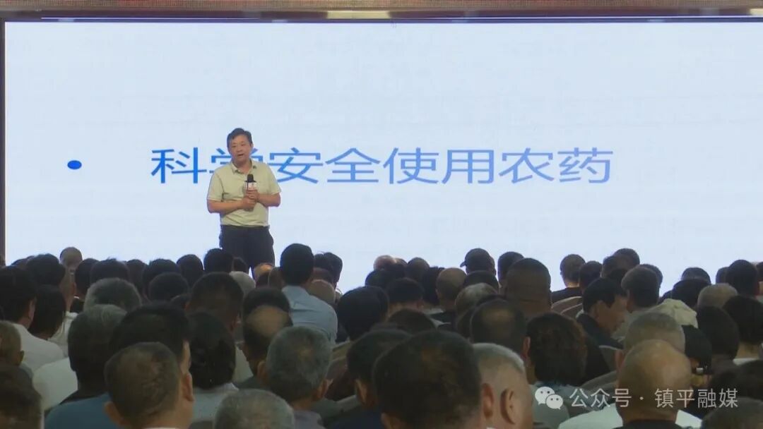 镇平县举办小麦茎基腐病科学防控现场培训会