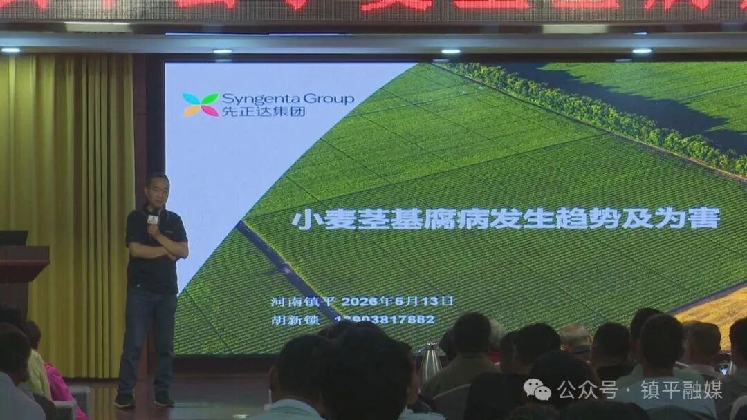 镇平县举办小麦茎基腐病科学防控现场培训会