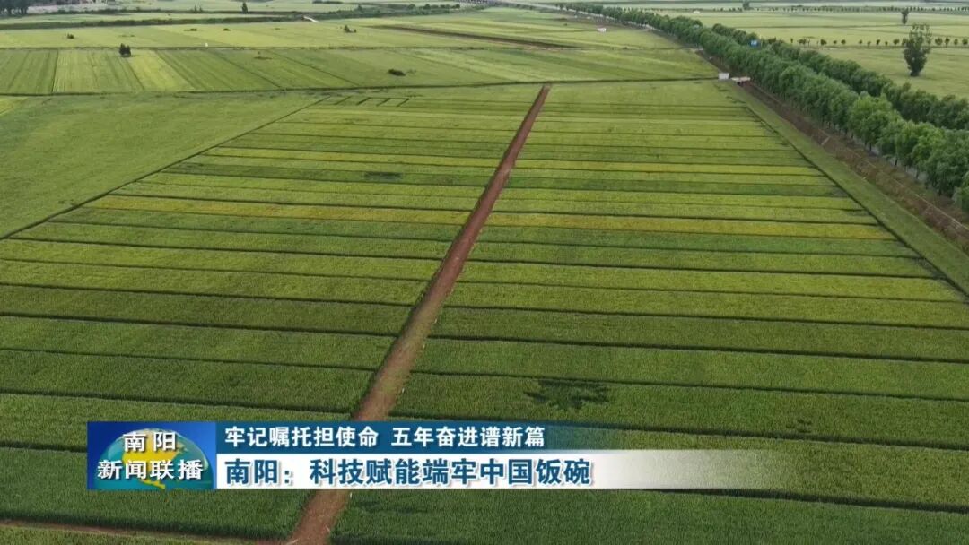 南阳：科技赋能端牢中国饭碗