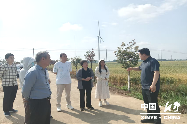 民盟洛阳市委会来新野县专题调研高标准农田建后管护工作