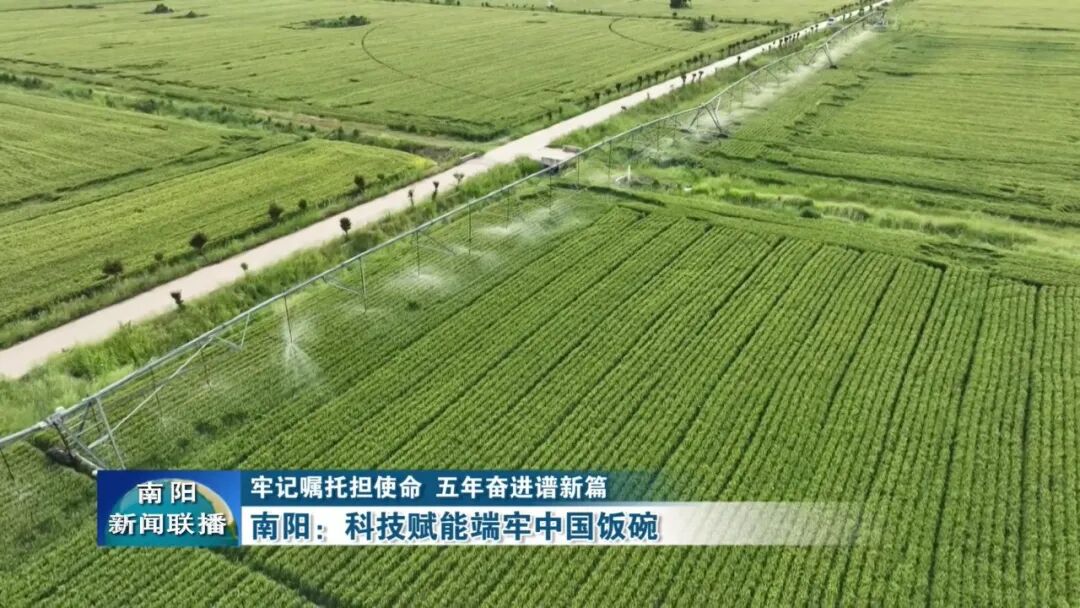 南阳：科技赋能端牢中国饭碗