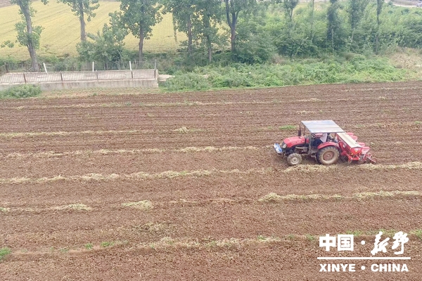 上港乡:葱茬接力种玉米“一地双收”促增收 上港乡:葱茬接力种玉米“一地双收”促增收