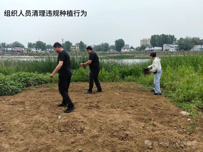 邓州市：湿地不是咱家菜园子!