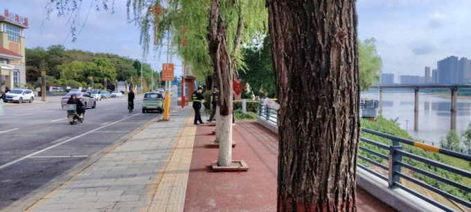 唐河县：治理杨柳絮有实效