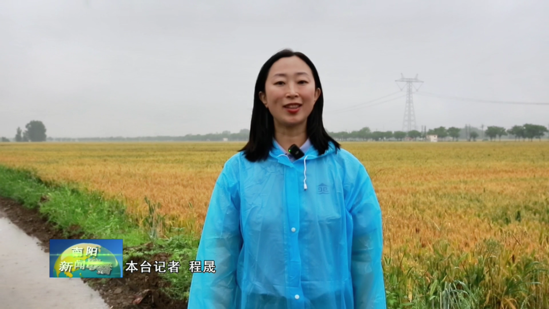 南阳全方位备战麦收确保颗粒归仓