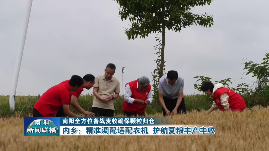 南阳全方位备战麦收确保颗粒归仓