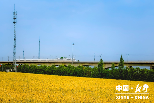 新野摄协三夏期间在行动 新野摄协三夏期间在行动
