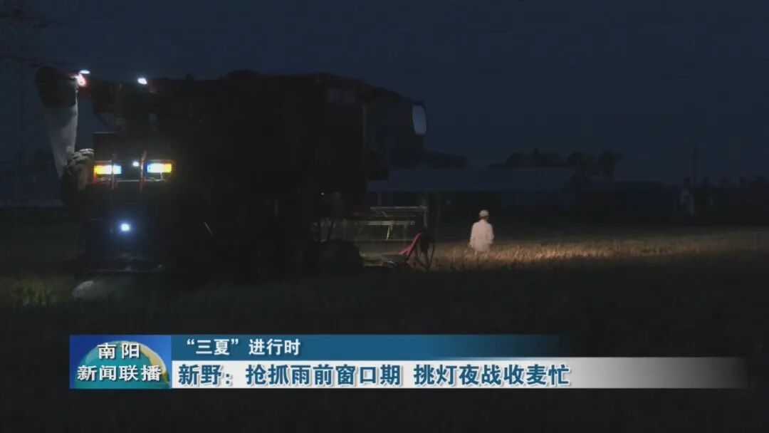 新野：抢抓雨前窗口期 挑灯夜战收麦忙