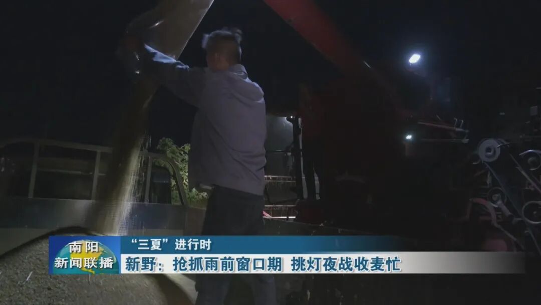 新野：抢抓雨前窗口期 挑灯夜战收麦忙