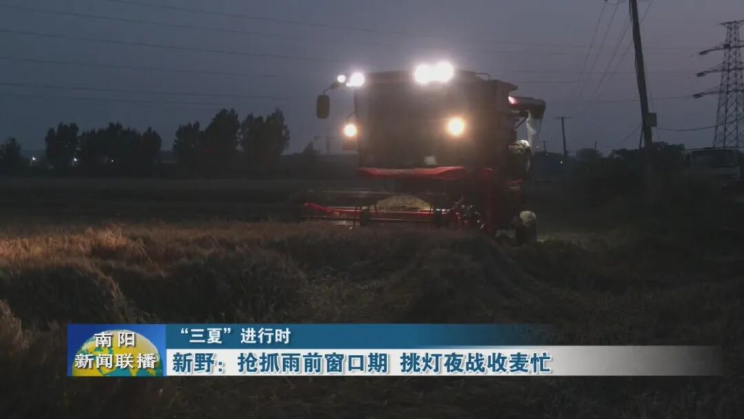 新野：抢抓雨前窗口期 挑灯夜战收麦忙