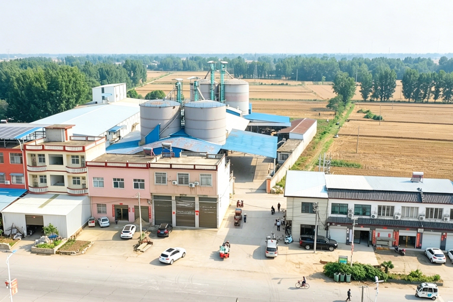 t003.jpg