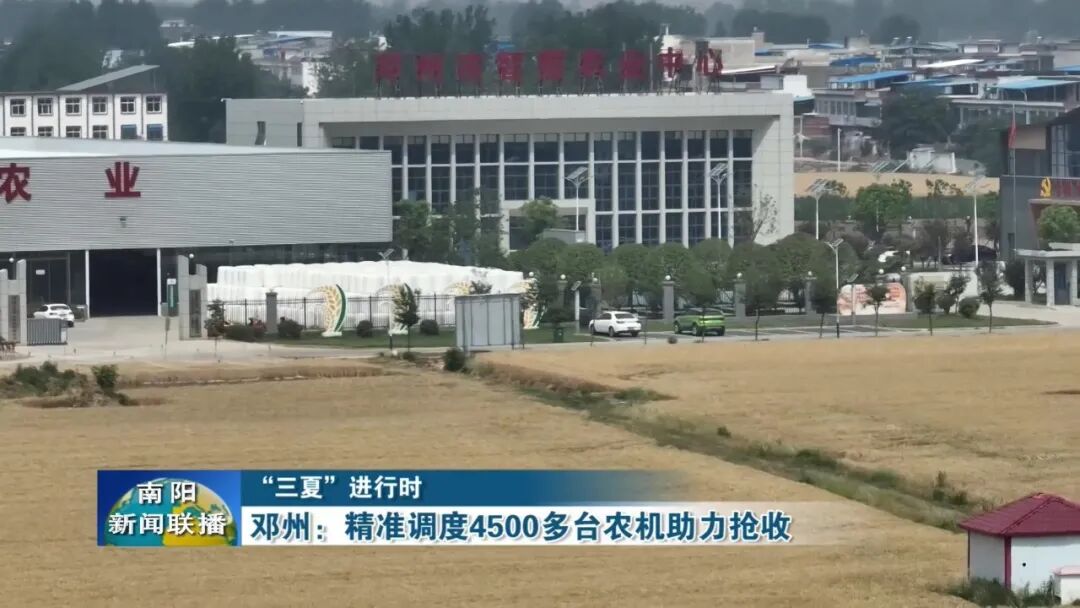 邓州:精准调度4500多台农机助力抢收 邓州:精准调度4500多台农机助力抢收