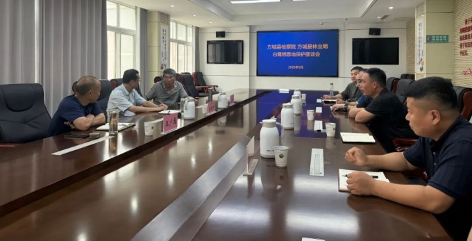 方城县邀请南阳师范学院专家指导白鹭栖息地保护工作