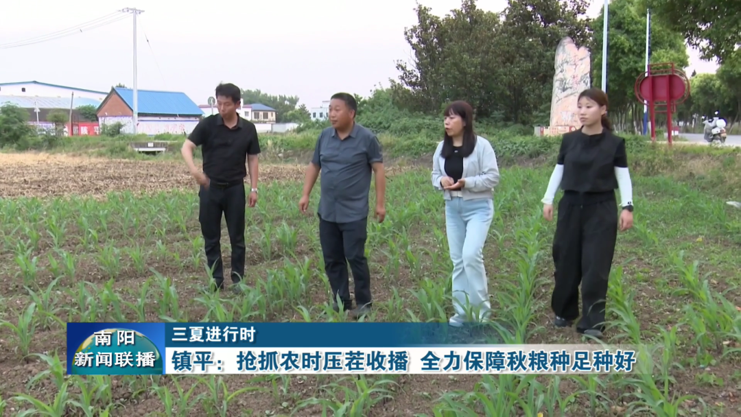 镇平:抢抓农时压茬收播 全力保障秋粮种足种好 镇平:抢抓农时压茬收播 全力保障秋粮种足种好