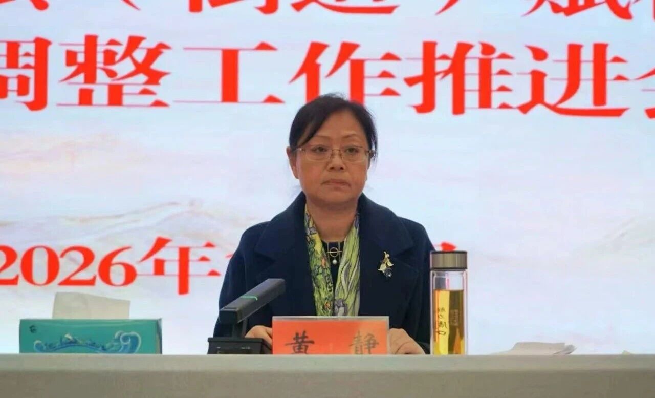 镇平县组织召开全县乡镇（街道）赋权事项优化调整工作推进会