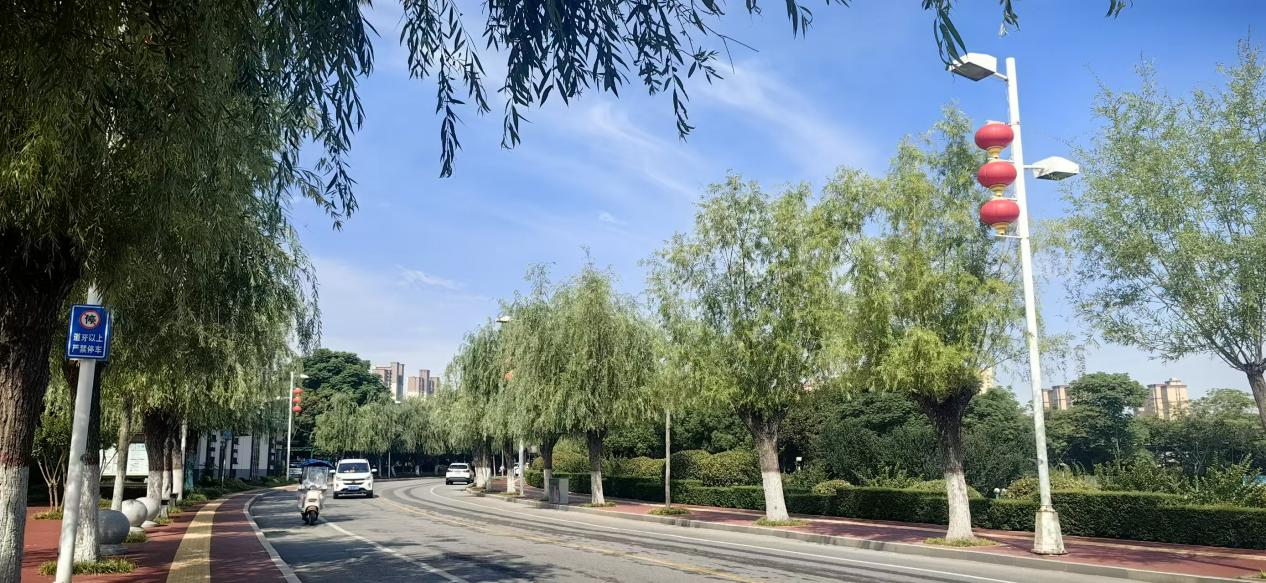 晴热升级 社旗县高温天气正式上线