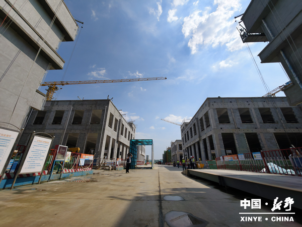【聚焦两会】新野县政协委员集中视察全县重点项目建设工作 【聚焦两会】新野县政协委员集中视察全县重点项目建设工作