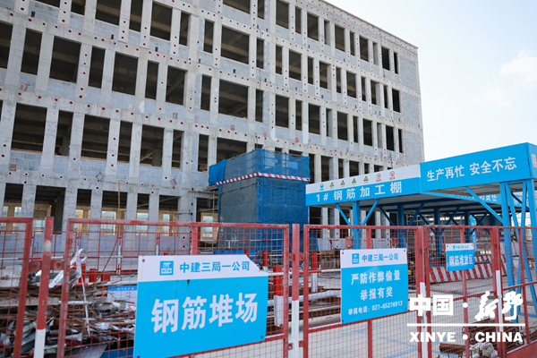 【聚焦两会】新野县人大代表集中视察重点项目建设工作 【聚焦两会】新野县人大代表集中视察重点项目建设工作