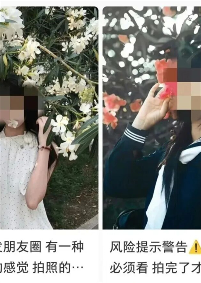 紧急提醒：这种“网红花”千万别碰，有人接触后浑身剧烈瘙痒！