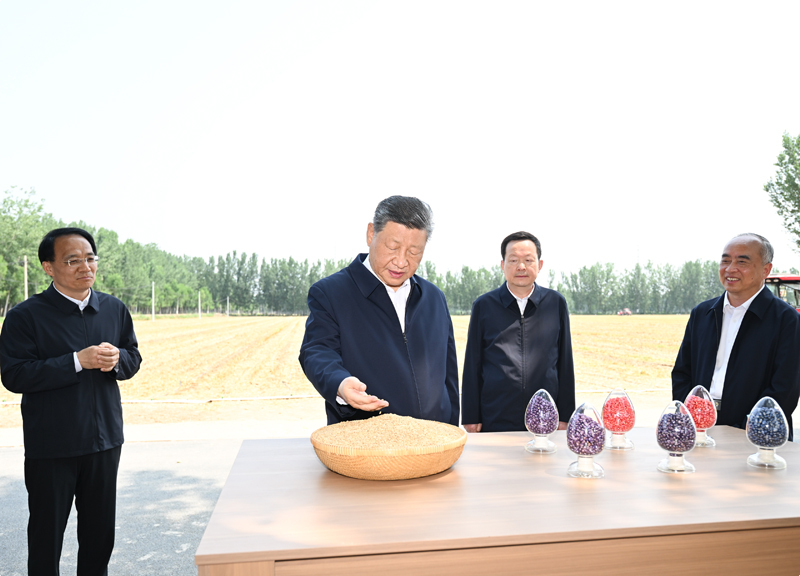 习近平在山东德州考察时强调 <br>以扎实举措推进农业农村现代化 <br>用勤劳和智慧创造更加美好生活