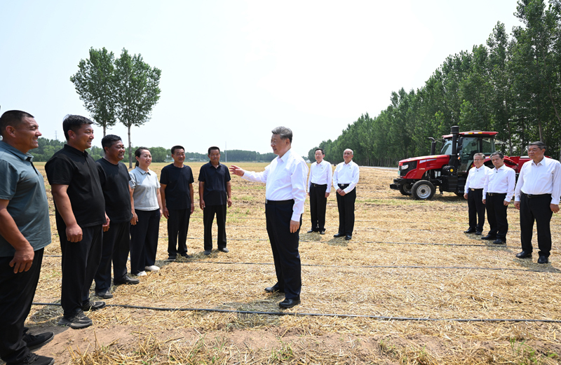 习近平在山东德州考察时强调 以扎实举措推进农业农村现代化 用勤劳和智慧创造更加美好生活