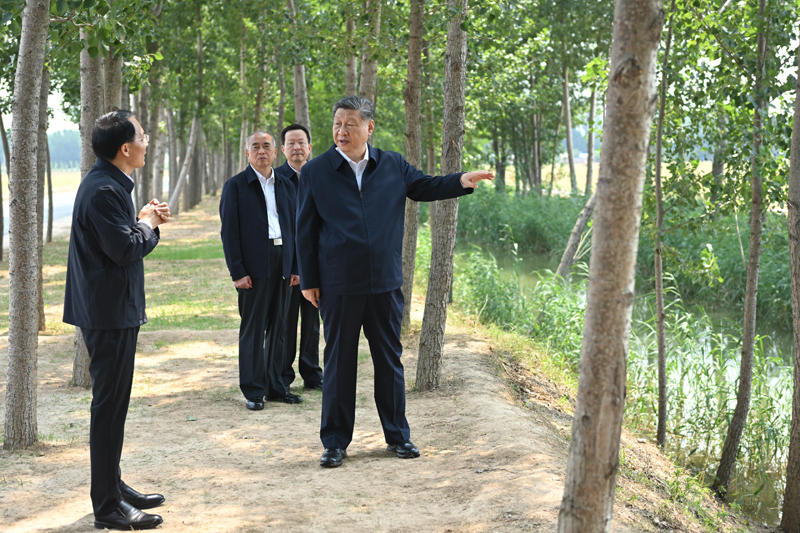 习近平在山东德州考察时强调 以扎实举措推进农业农村现代化 用勤劳和智慧创造更加美好生活