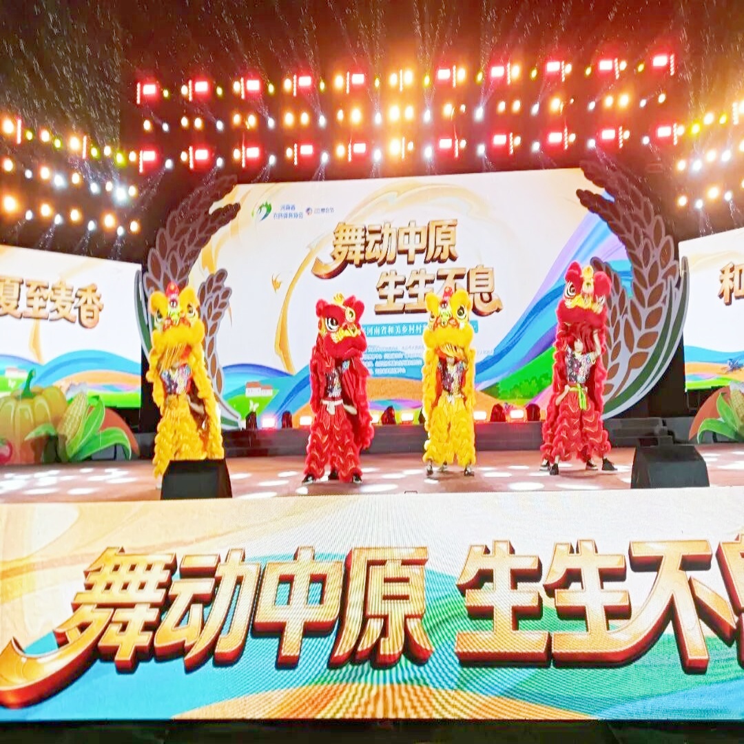 舞动中原展风采 南阳健儿创佳绩——南阳代表队勇夺河南省“赛会节 ”村舞三等奖