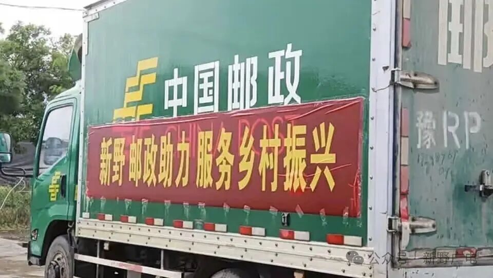 丰收！新野3万亩甜糯玉米上市