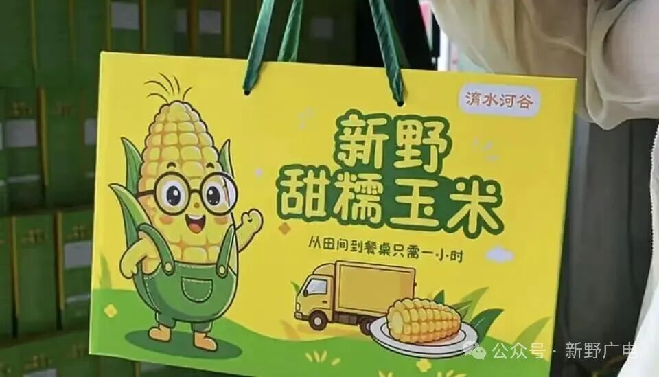 丰收！新野3万亩甜糯玉米上市