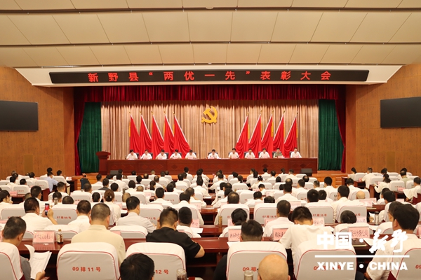 新野县开展“两优一先”表彰、学习贯彻习近平总书记庆祝中国共产党成立105周年大会讲话精神暨“七一”讲党课活动